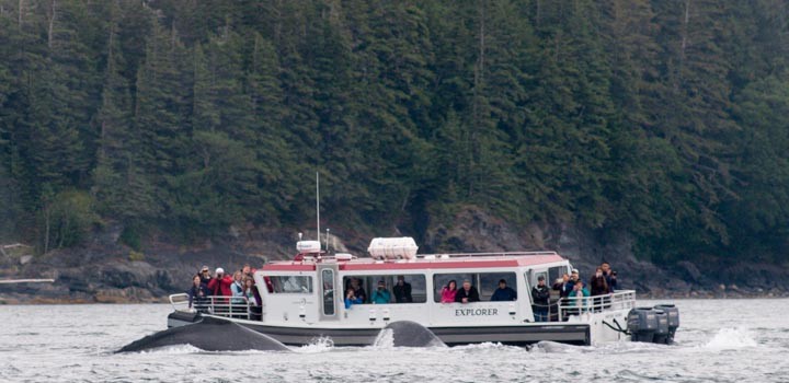 Adventures of an Alaskan Naturalist — February meeting of the American Cetacean Society/OC